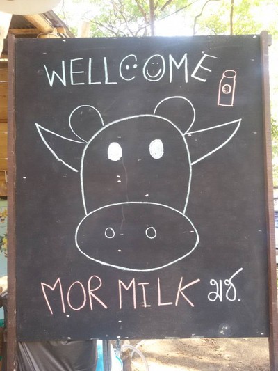 Mor Milk
